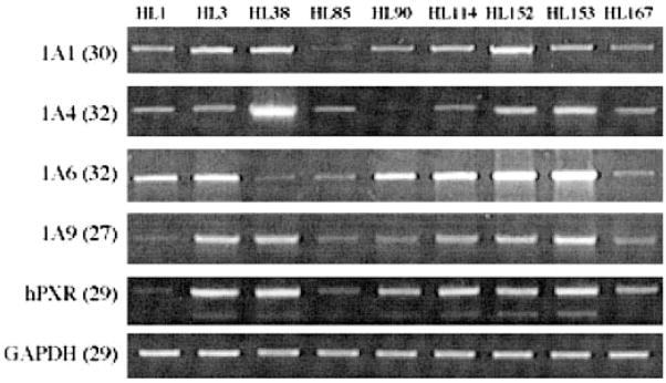 Fig. 7