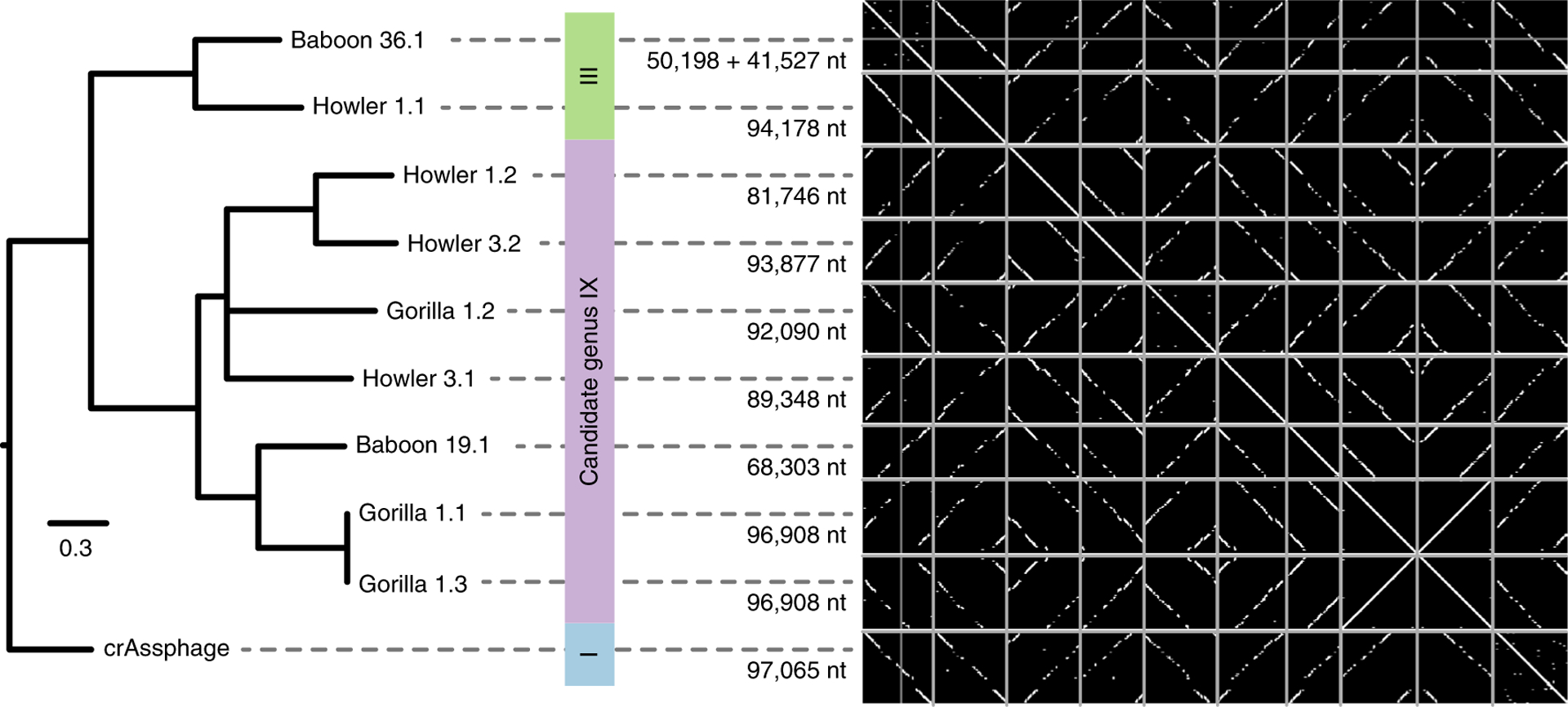 Fig. 4 |