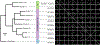 Fig. 4 |