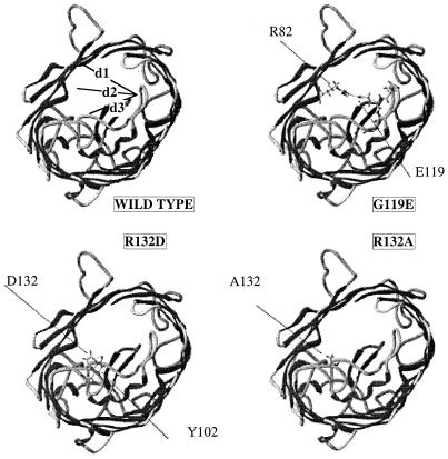 FIG. 3