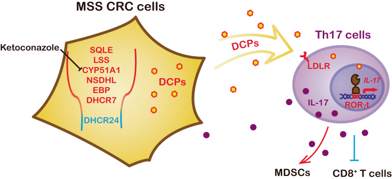 graphic file with name 44321_2023_15_Figa_HTML.jpg