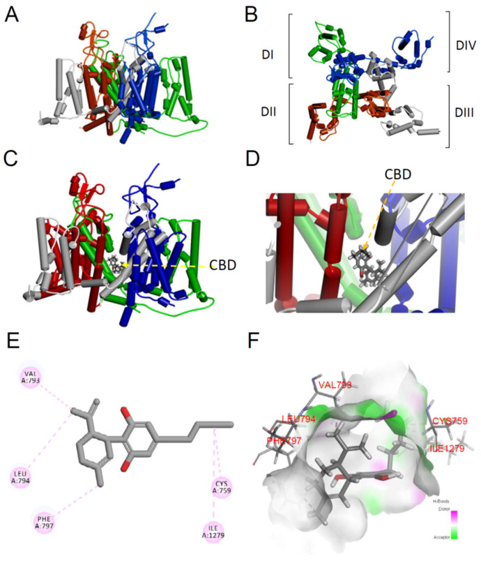 Figure 7