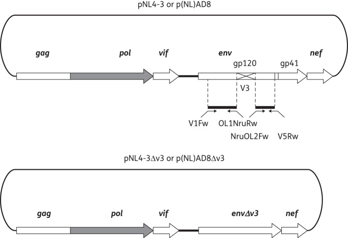 Figure 1.