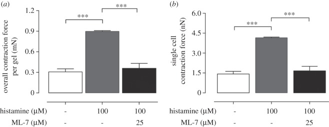 Figure 5.