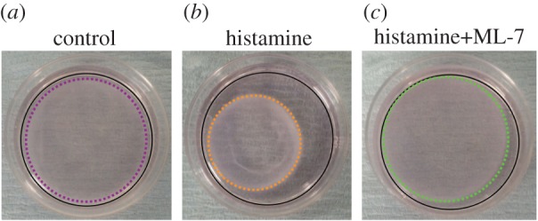 Figure 4.