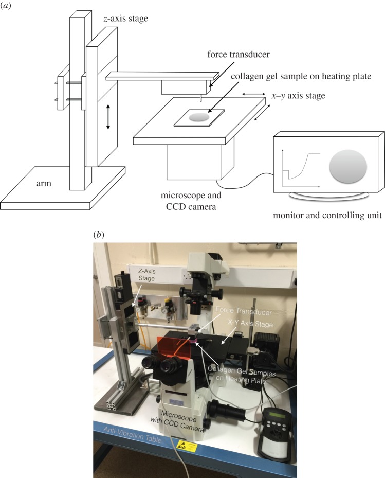 Figure 1.