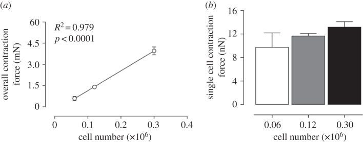 Figure 6.