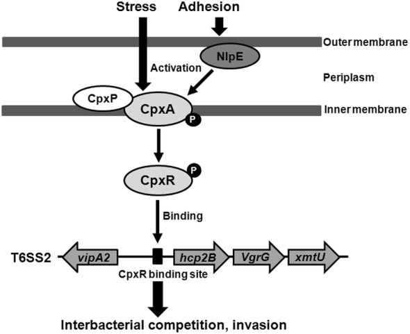 Figure 6