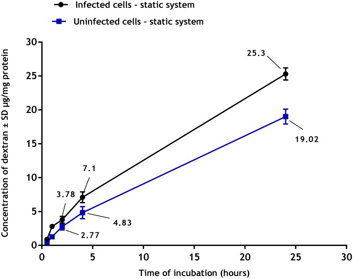 Fig 10