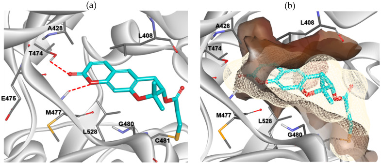 Figure 4