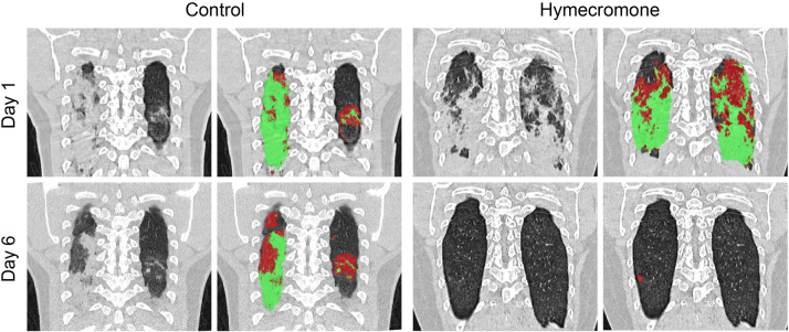 Fig. 7