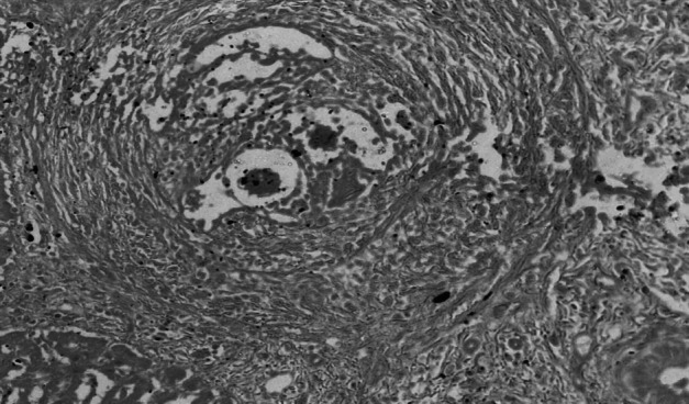 Fig. 9