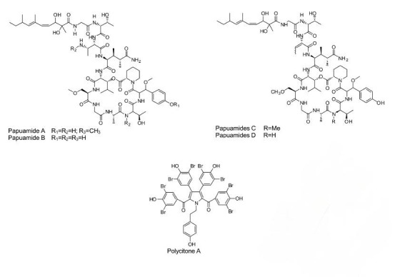 Fig. 2