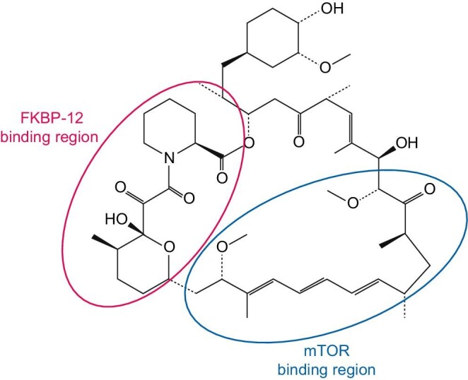 FIGURE 2: