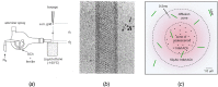 Fig. 12.