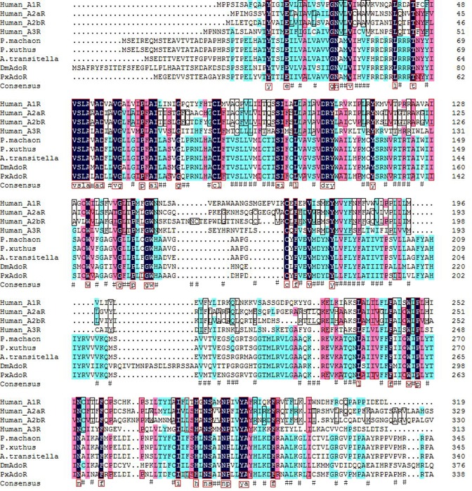 Fig 2