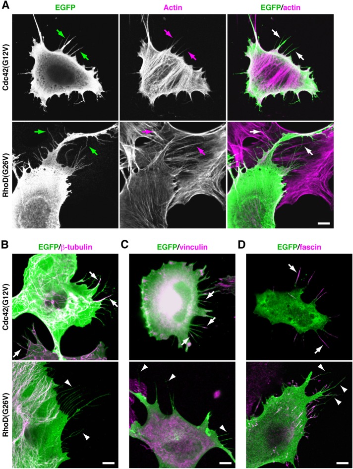 FIGURE 1: