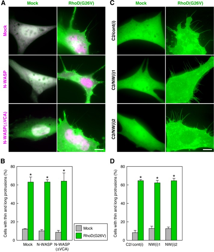 FIGURE 5: