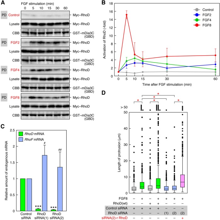 FIGURE 4: