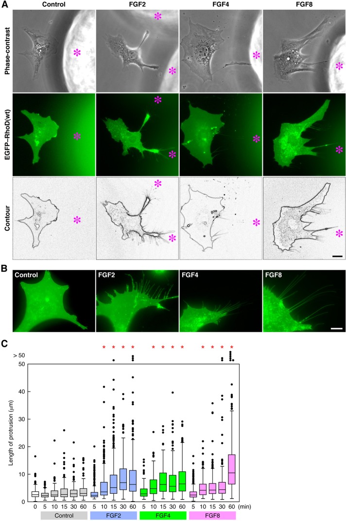 FIGURE 3: