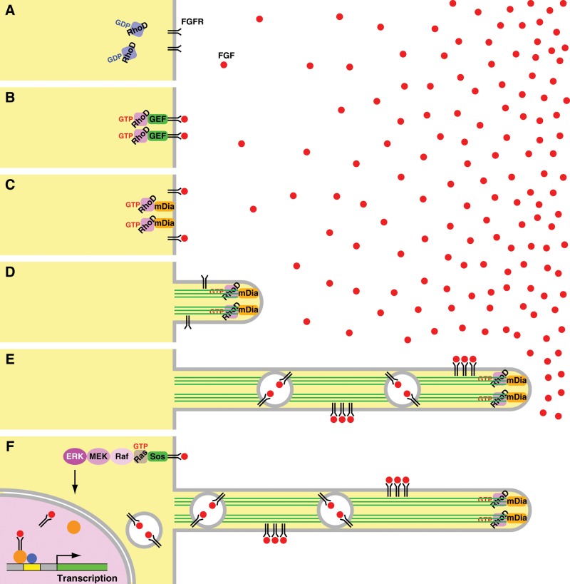 FIGURE 9: