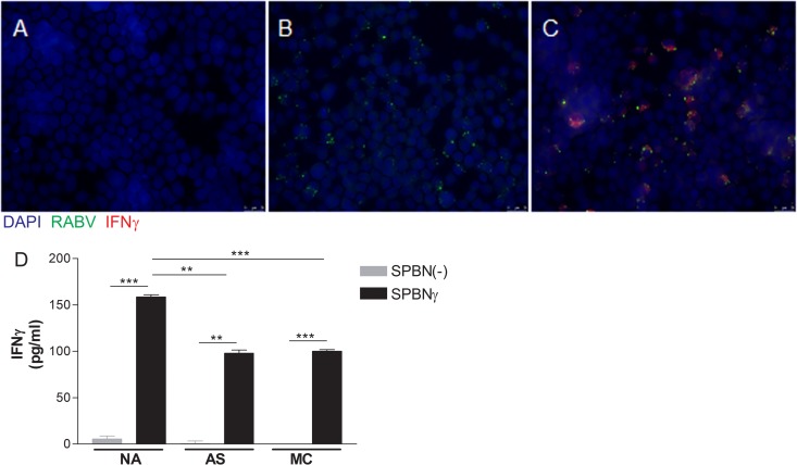 FIG 2