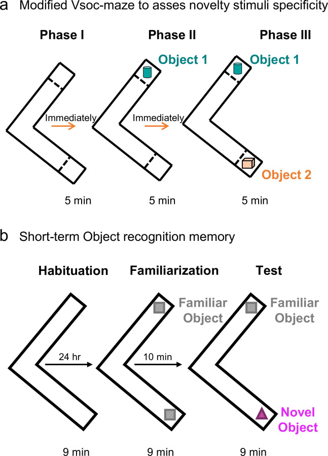 Figure 1—figure supplement 1.