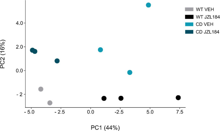 Figure 6—figure supplement 1.