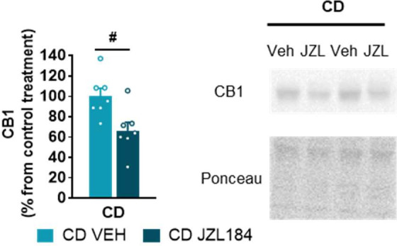 Figure 4—figure supplement 1.