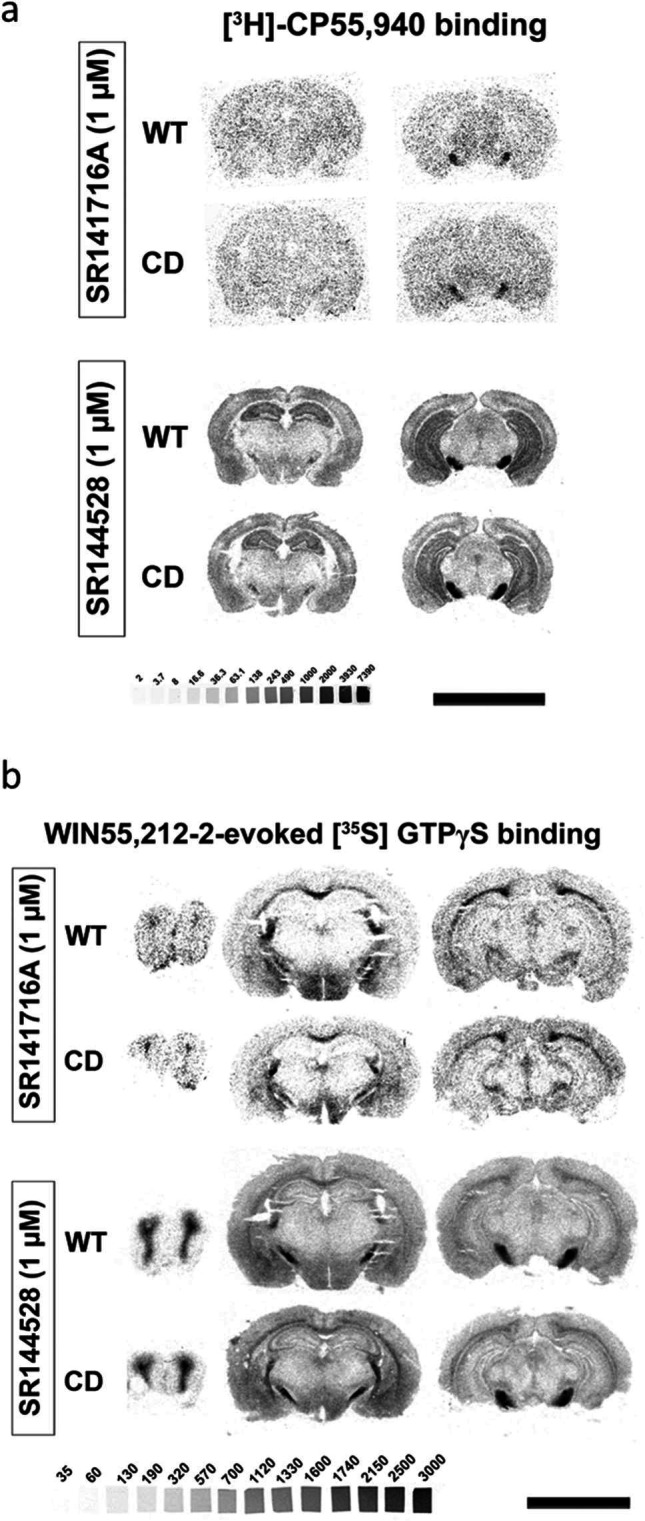 Figure 2—figure supplement 1.