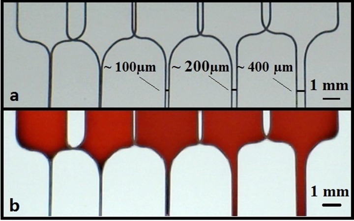 FIG. 7.