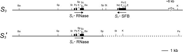 Figure 8.