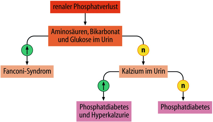 graphic file with name 978-3-662-57295-5_26_Fig25_Print.jpg