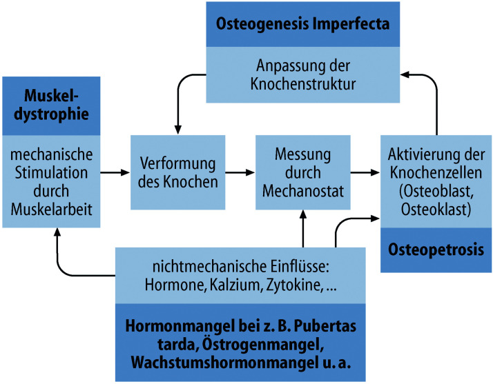 graphic file with name 978-3-662-57295-5_26_Fig26_Print.jpg