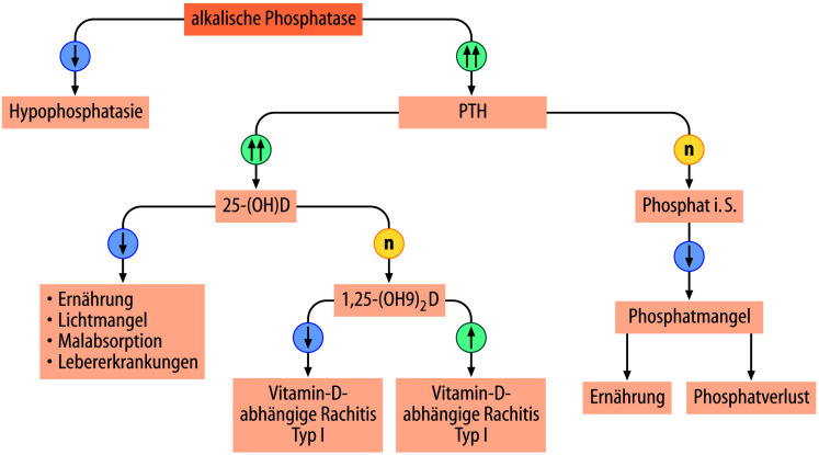 graphic file with name 978-3-662-57295-5_26_Fig24_Print.jpg