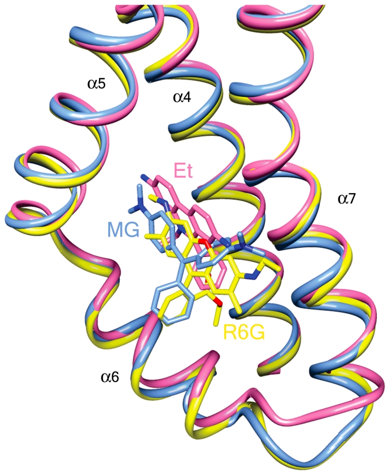 Figure 4