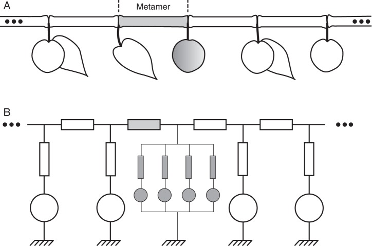 Fig. 1.