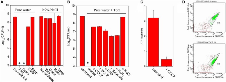 FIGURE 2