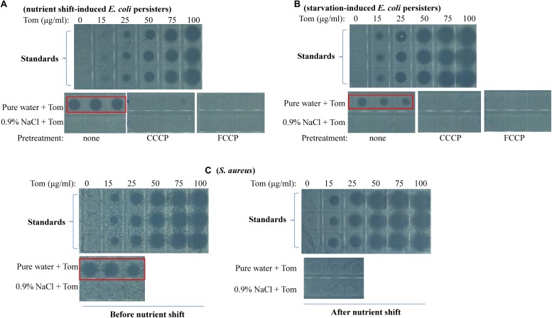 FIGURE 4