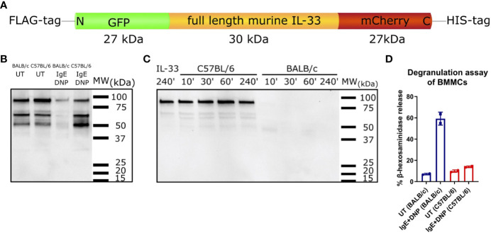 Figure 5