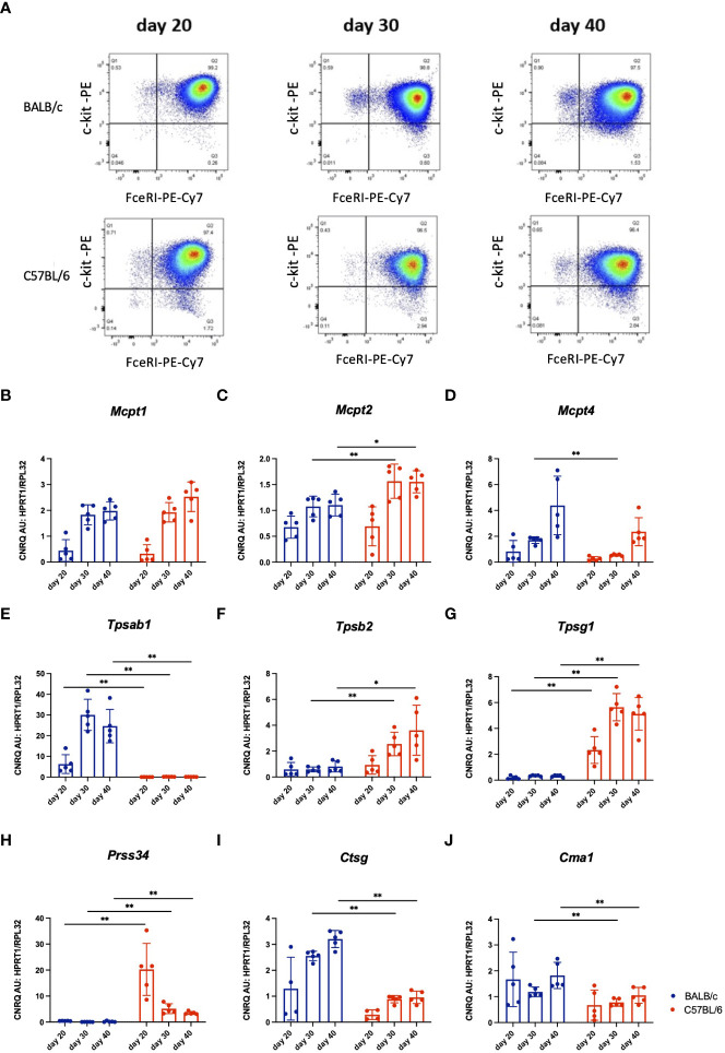 Figure 4