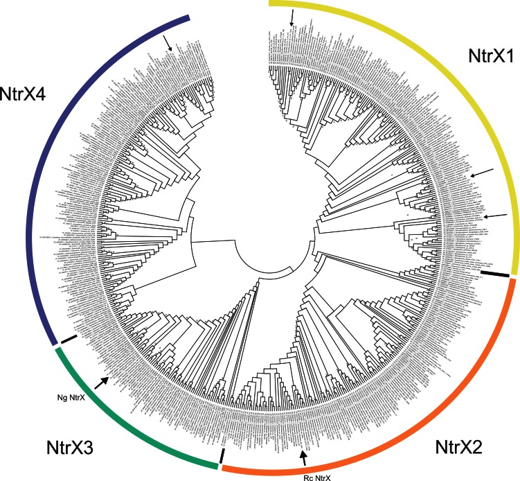 Fig 5