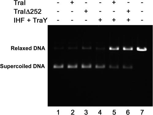 FIG. 7.