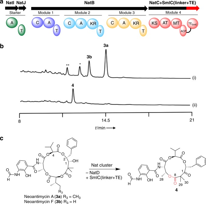 Fig. 3