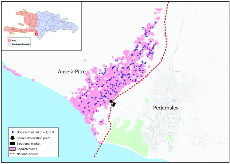 The figure is a map showing the border towns of Anse-à-Pitre, Haiti, and Pedernales, Dominican Republic, with locations of 1,331 dogs vaccinated for rabies during 2019 and the binational market and observation point used during the rabies response investigation.