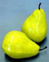 Fig. (20a).