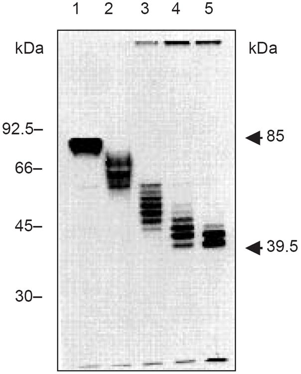 Figure 17.13A.6