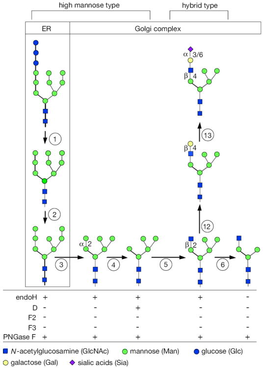 Figure 17.13A.2