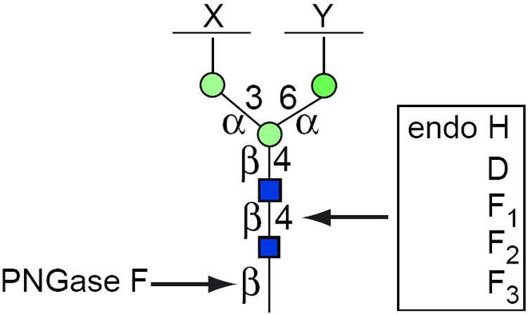 Figure 17.13A.5