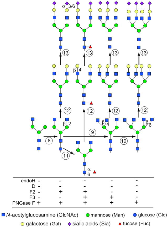 Figure 17.13A.3